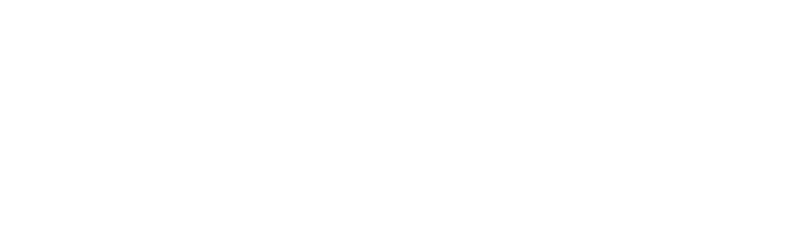 Ravelin logo